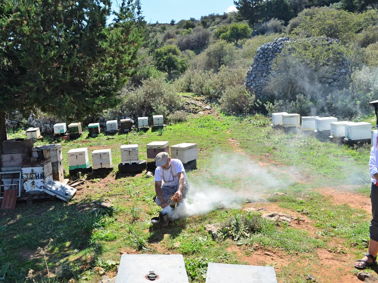 Cretan Honey and Its Miraculous Health Benefits